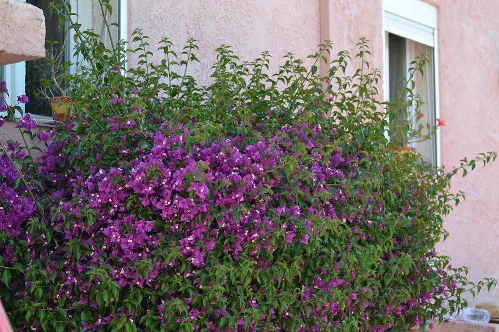 Hotel Princesse D'Azur Sainte-Maxime Exterior foto